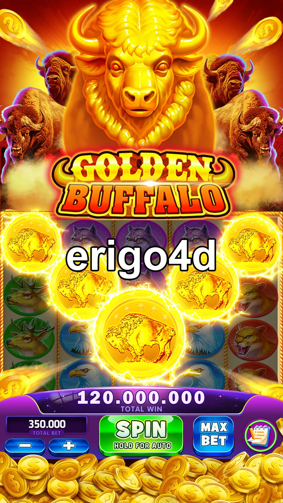 erigo4d Preview - Resmi Unduh